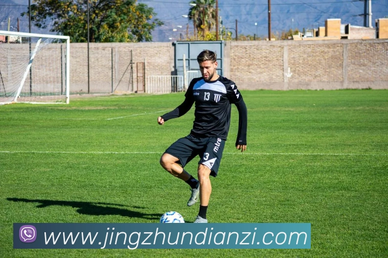 8688体育大不大平台生态图